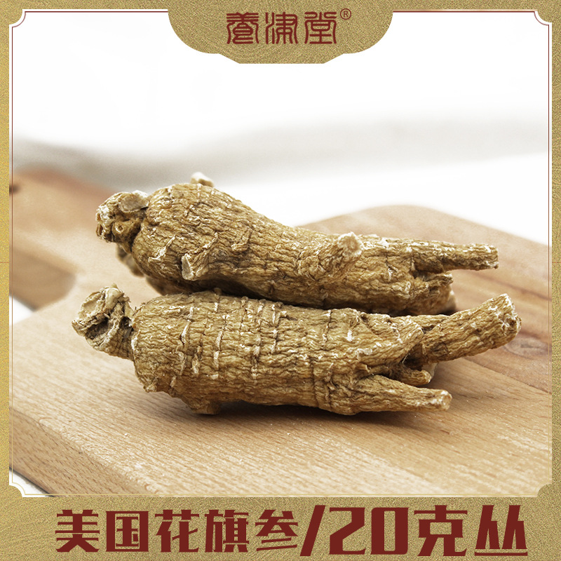 美国花旗参20g原丛西洋参威斯康辛州美种 规格货 可切片 厂家批发