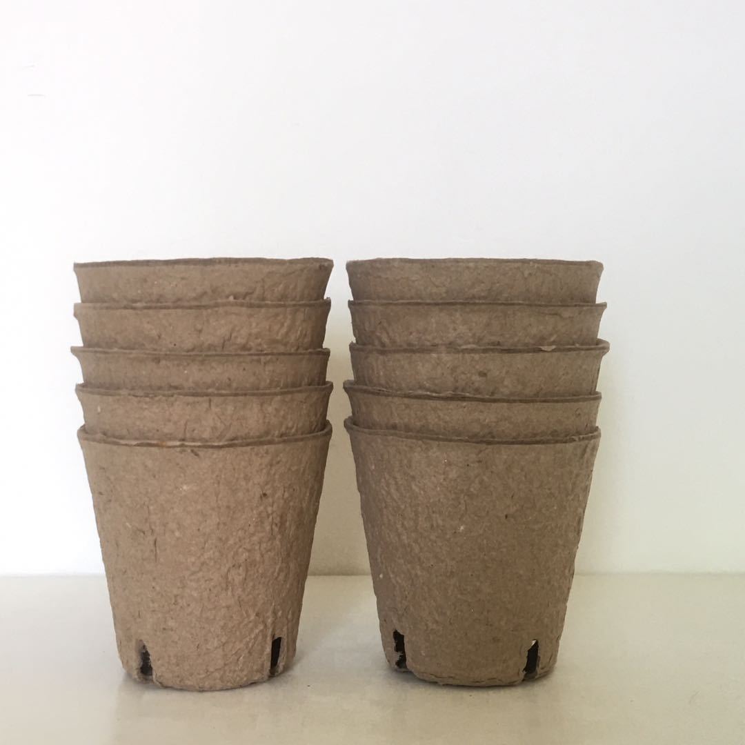 现货4孔8*8多肉花盆 纸浆育苗杯 可降解 花盘 塑料园艺多肉花盆