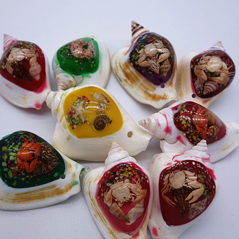 批发销售小贝壳小海螺贝壳工艺品小琥珀家居摆件装饰鱼缸景观造景