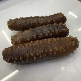 方刺参 刺参辽参 四方刺 海参干货 足干淡干 肉厚 水发14斤 500克