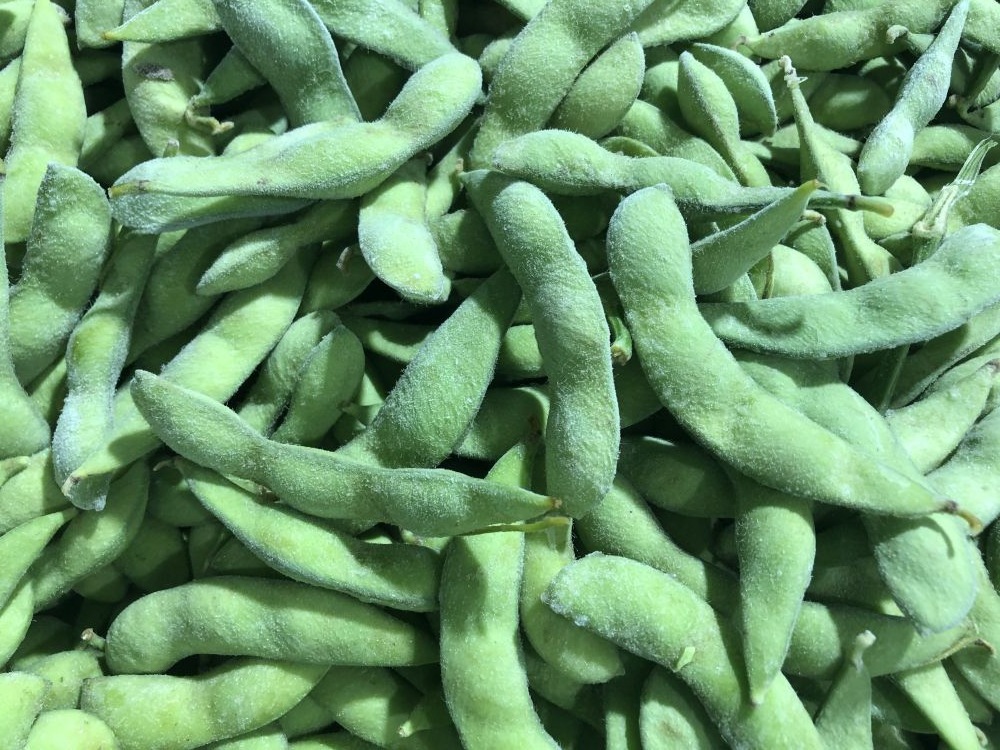 冷冻毛豆 速冻毛豆荚 2020常年有货 厂家直销 出口内销皆可