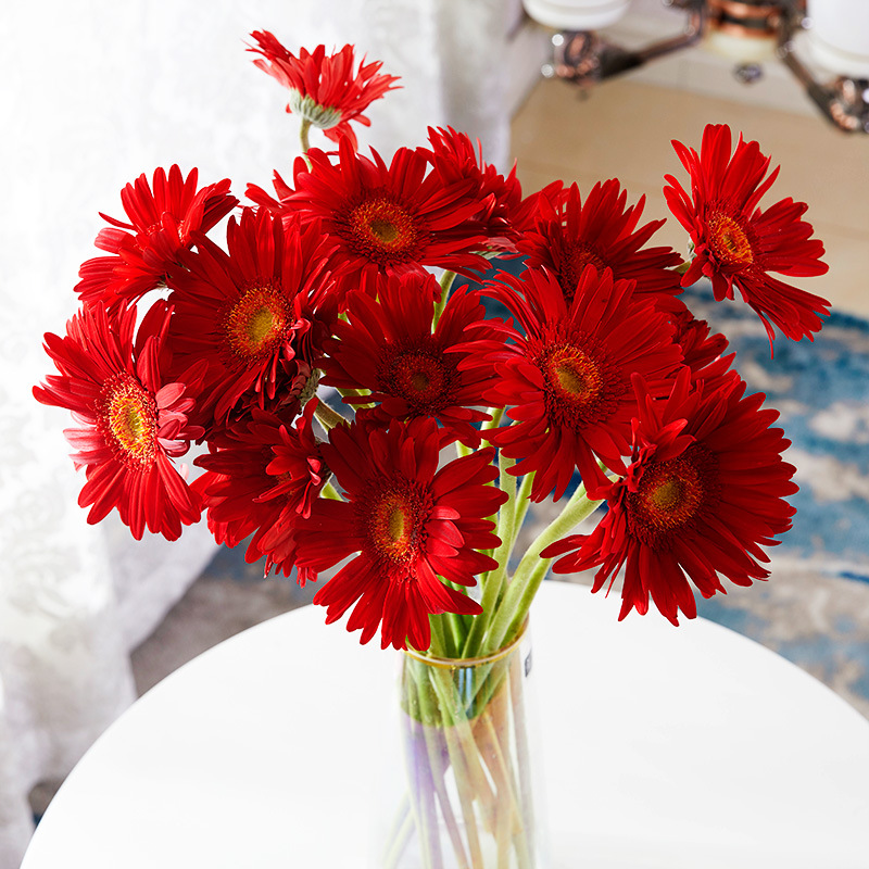 云南基地直发弗朗鲜花昆明直批鲜花束直批家用水养非洲菊同城速递