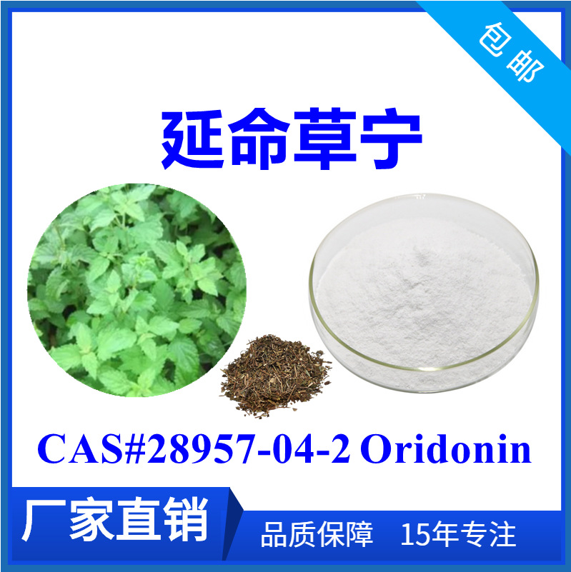 冬凌草提取物冬凌草甲素98延命草宁oridonin2895704210g每袋