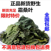 霜后干桑叶茶霜桑叶桑叶桑叶茶1000g500g250g100g多规格