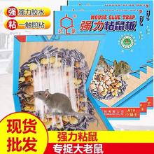 正品达豪A1小猫王强力粘鼠板40克 匠心品质