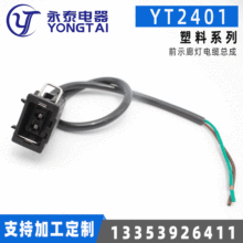 源头工厂 线束YT2401前示廊灯电缆总成 汽车接插件连接器端子胶壳