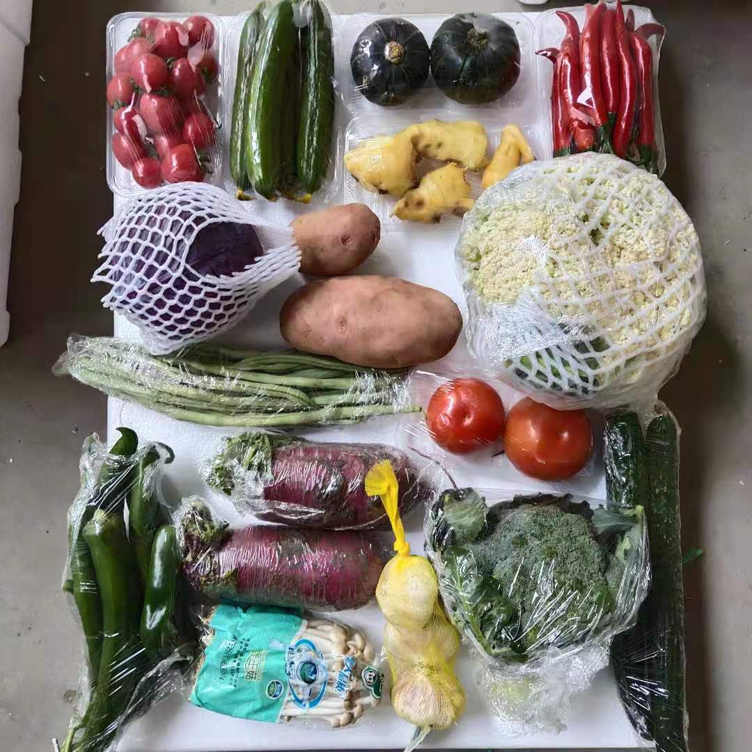 套菜 蔬菜套装寿光蔬菜 净菜组合番茄 贝贝南瓜 黄瓜辣椒产地批发