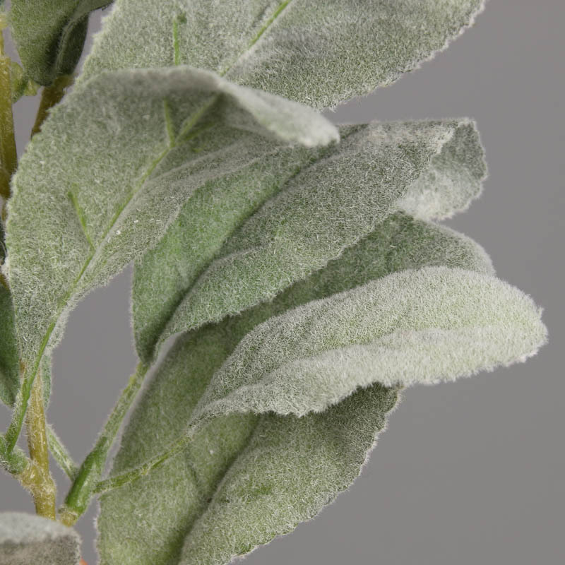仿真兔耳叶 单支植毛兔耳叶植物墙配材柠檬叶diy插花配件假叶子