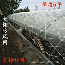 货物种植养殖大棚防风网 尼龙防护网 大孔压膜绳网挡风大棚网