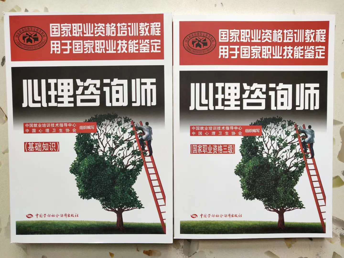 2020年心理咨询师考试教材 心理咨询师基础知识 三级 全套2本