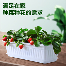 塑料花盆 长方形种菜盆蔬菜种植种花大花盆阳台菜盆长条花槽花箱