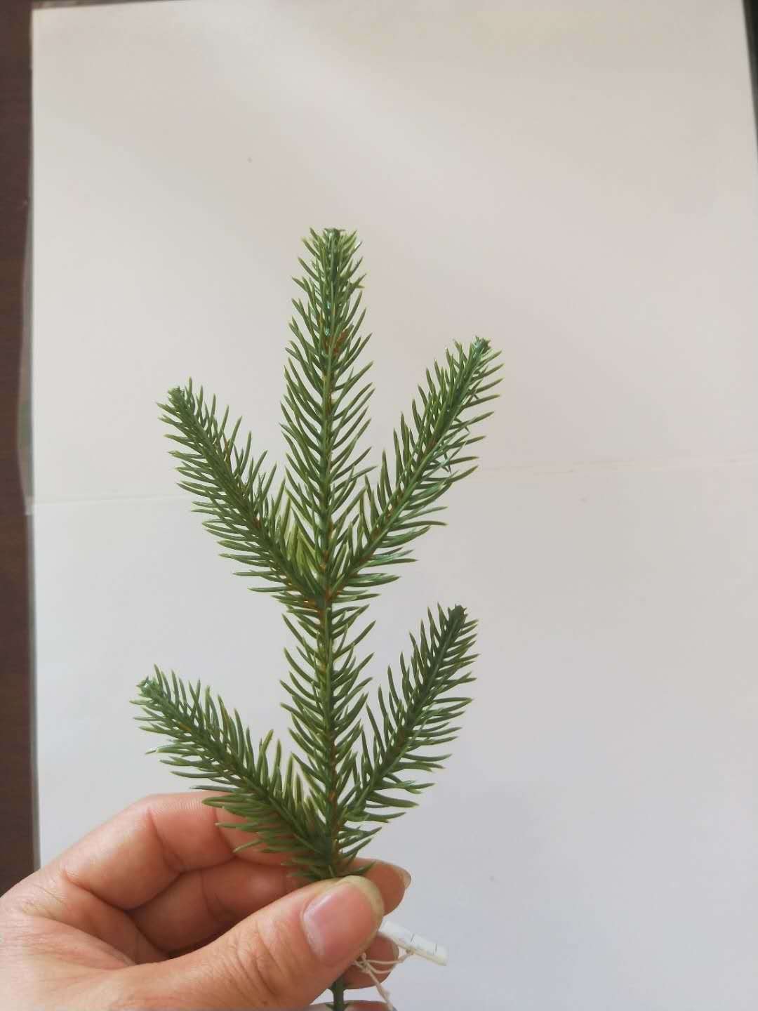 仿真植物仿真松针26厘米五叉立体单面松针枝圣诞树松枝编织袋图片