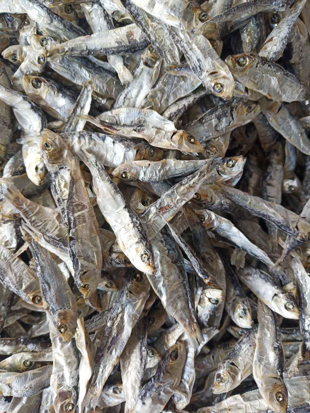 青皮青麟鱼500克柳叶鱼纯无盐淡水鱼宠物猫粮零食鱼干地摊鱼包邮