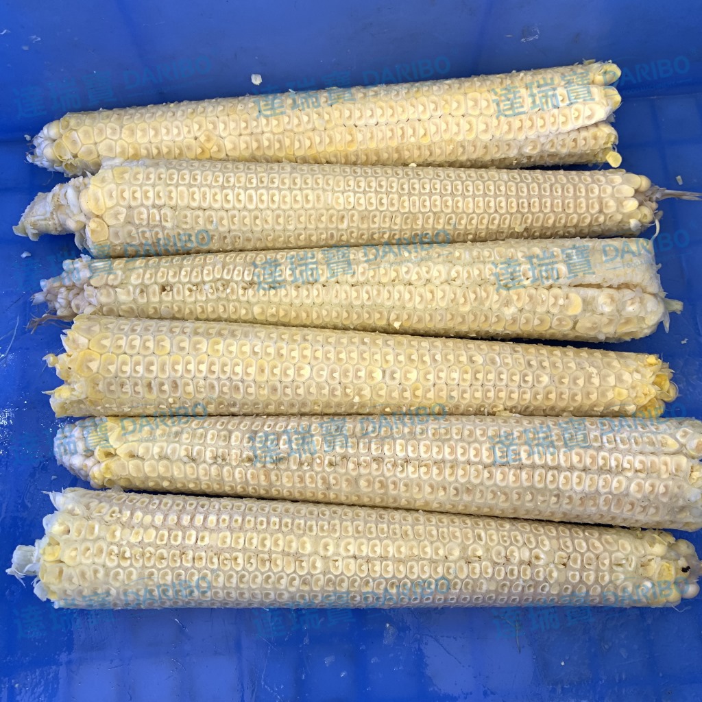 鱼饵加工厂嫩玉米剥粒机冷冻玉米脱粒机大型新鲜玉米取粒机