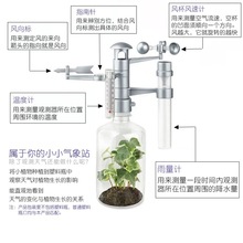 幼儿园区教玩具小小气象站小学生气象观测儿童科普实验风向标