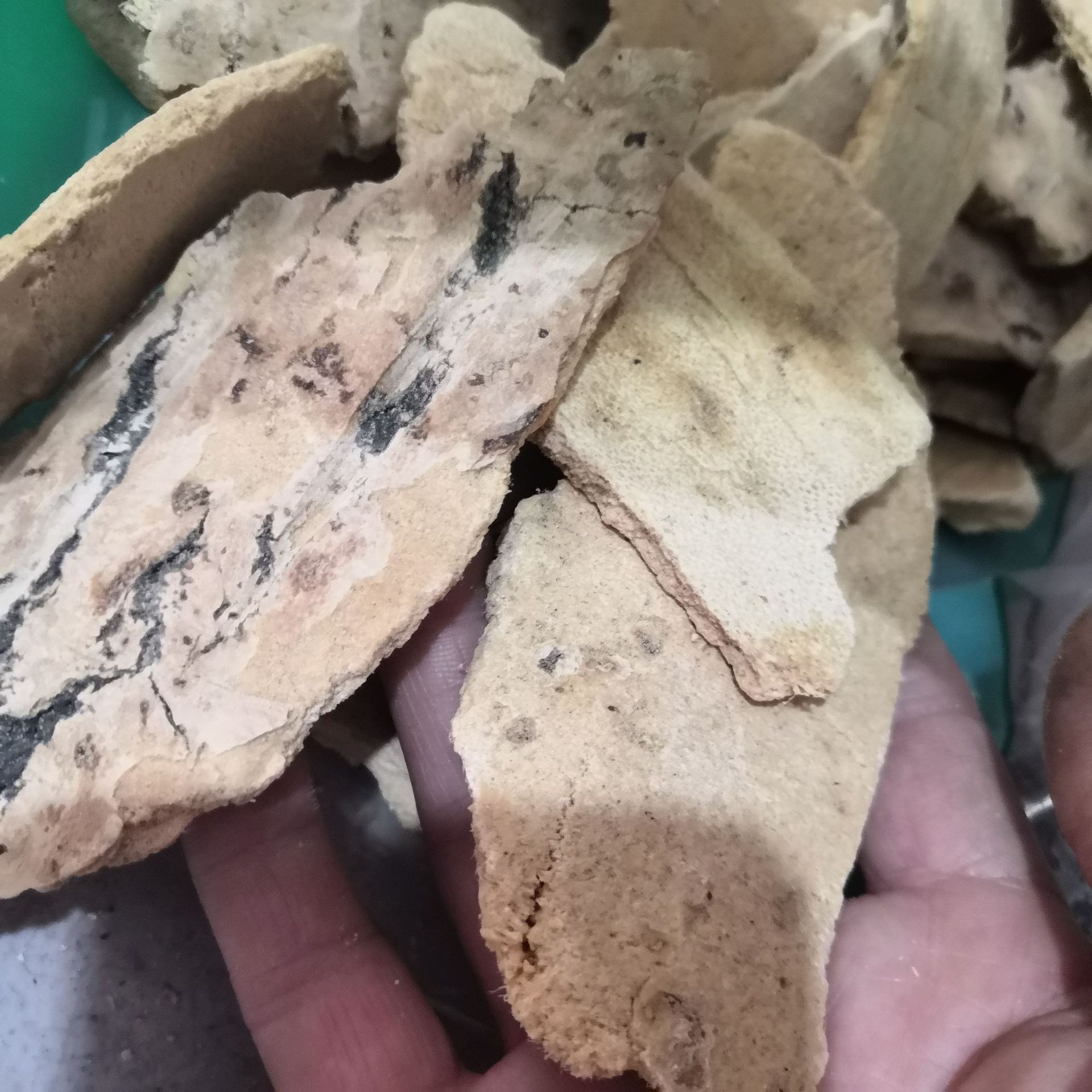 中药材椿白皮 椿皮 椿身皮 椿根皮 去老皮无硫新货