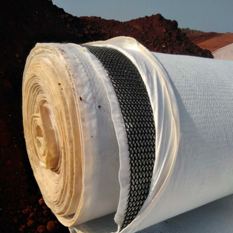 厂家批发供应土工复合排水网三维复合排水网垃圾填埋场地下排水网