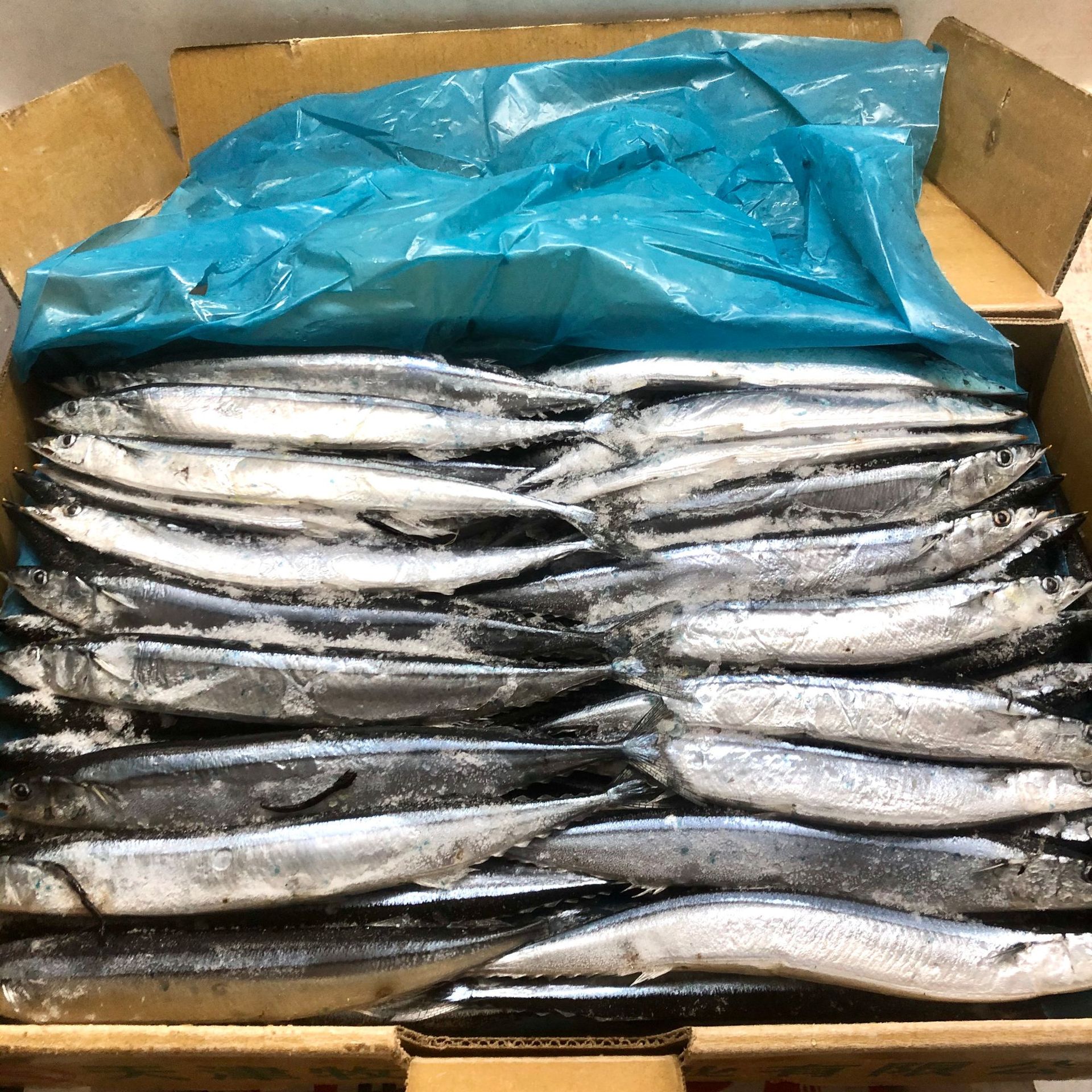 深海秋刀鱼 冷冻秋刀鱼 日式秋刀鱼烧烤秋刀鱼 冷冻海鲜食材20斤