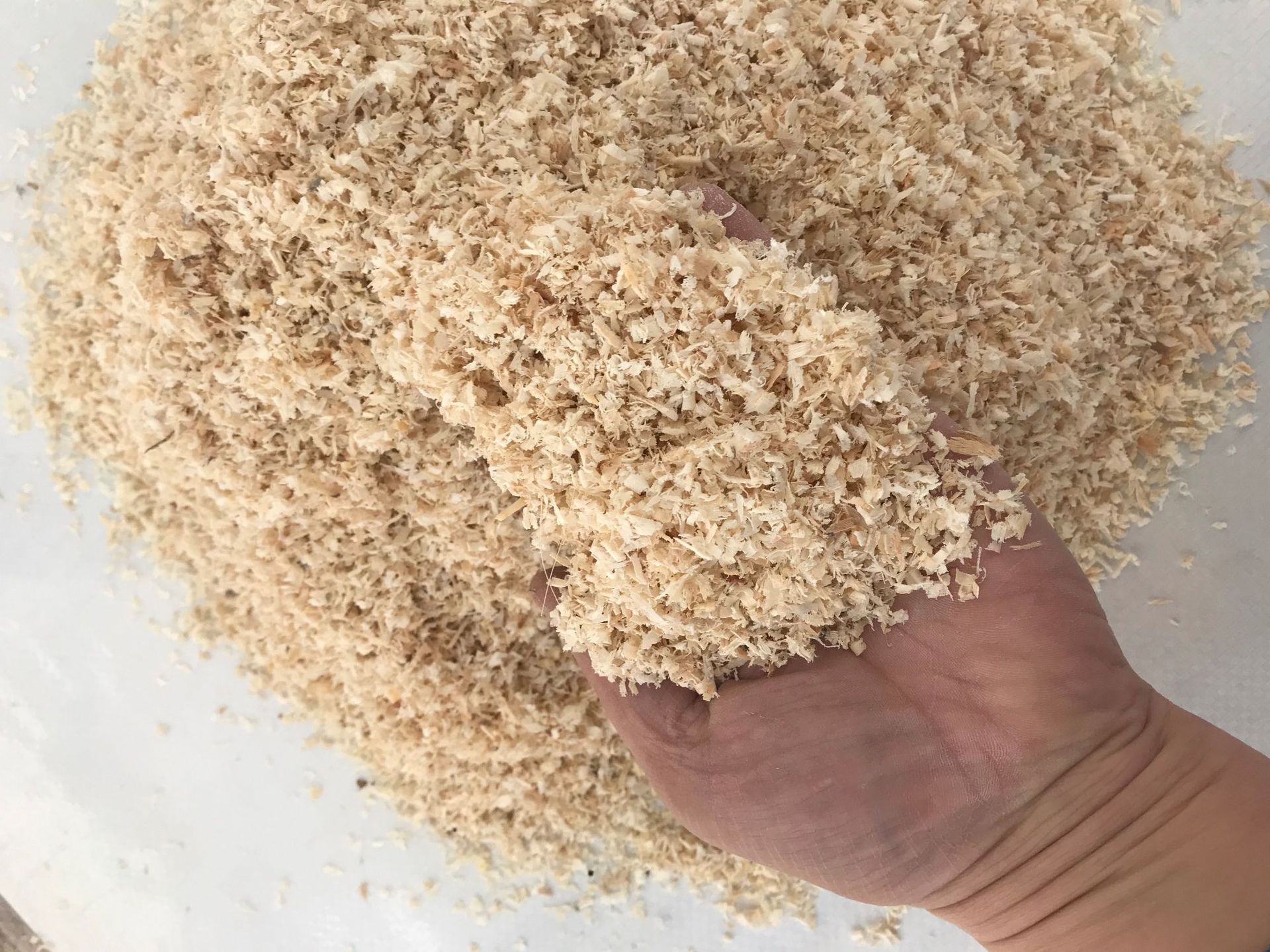 白杨木锯末木屑生物酶降解技术环保厕所免水冲白杨木锯末木屑