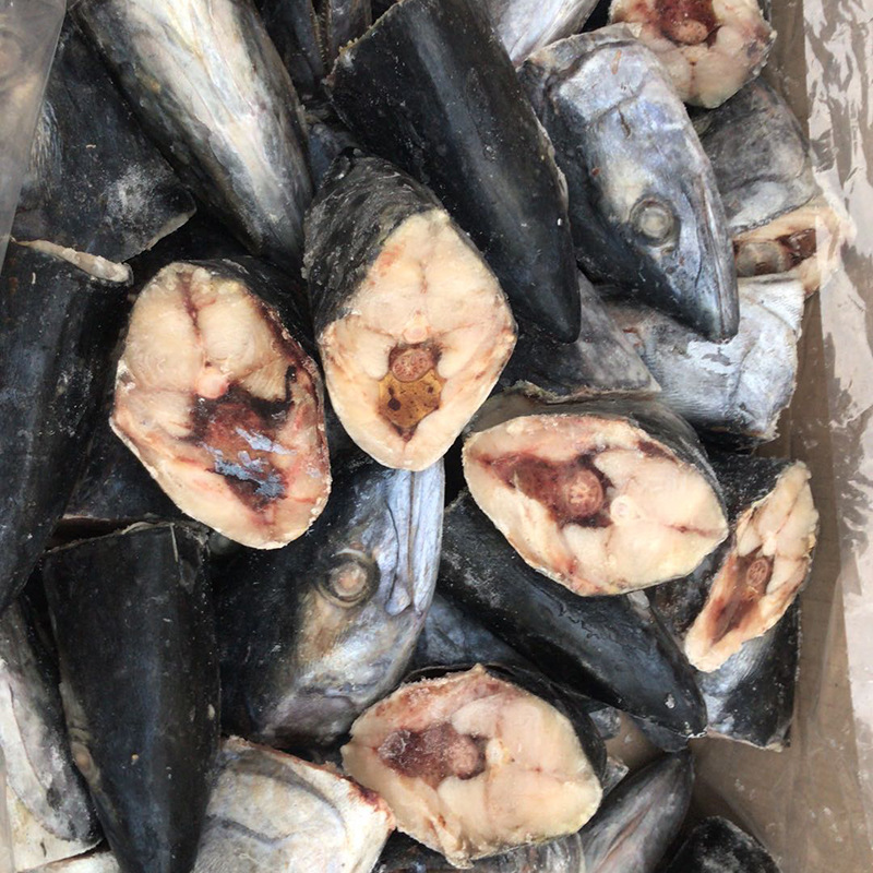 四海水产鲜冻鲅鱼头个大肉肥肉质鲜美鲅鱼头美味健康马鲛鱼头海鱼