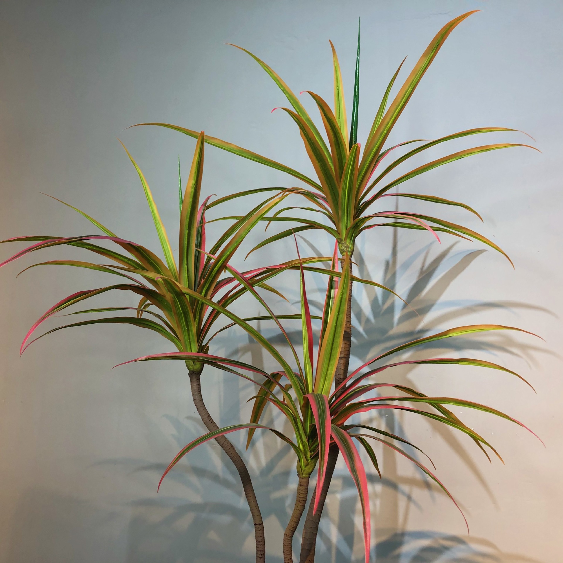 假树绿植盆栽 仿真巴西铁树客厅落地热带植物塑料仿真盆栽