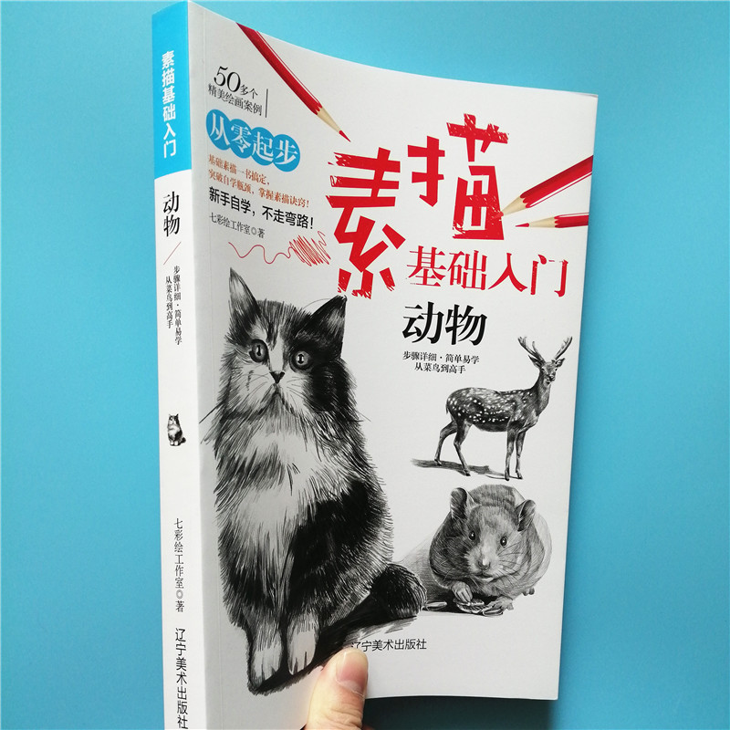 正版从零起步素描基础入门动物静物简单易学素描绘画书人物风景