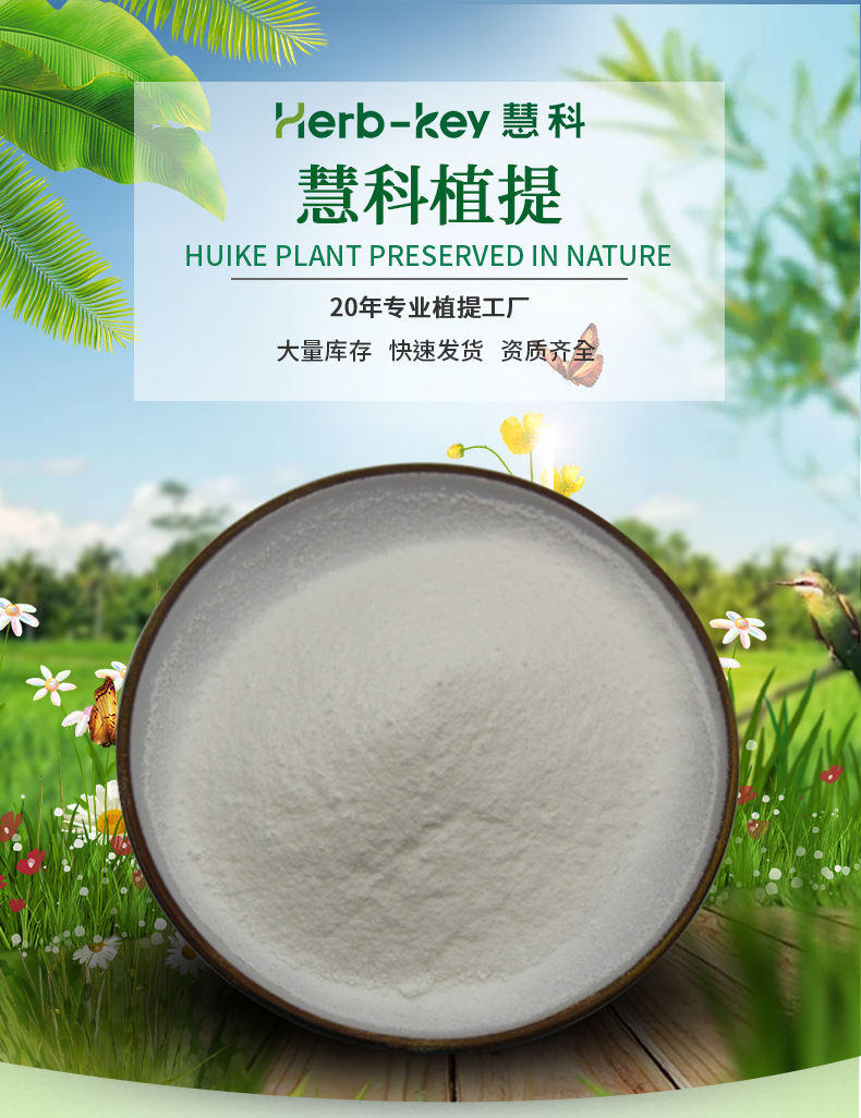 陕西慧科 山药提取物 山药粉薯蓣皂素 厂家现货包邮 山药提取物