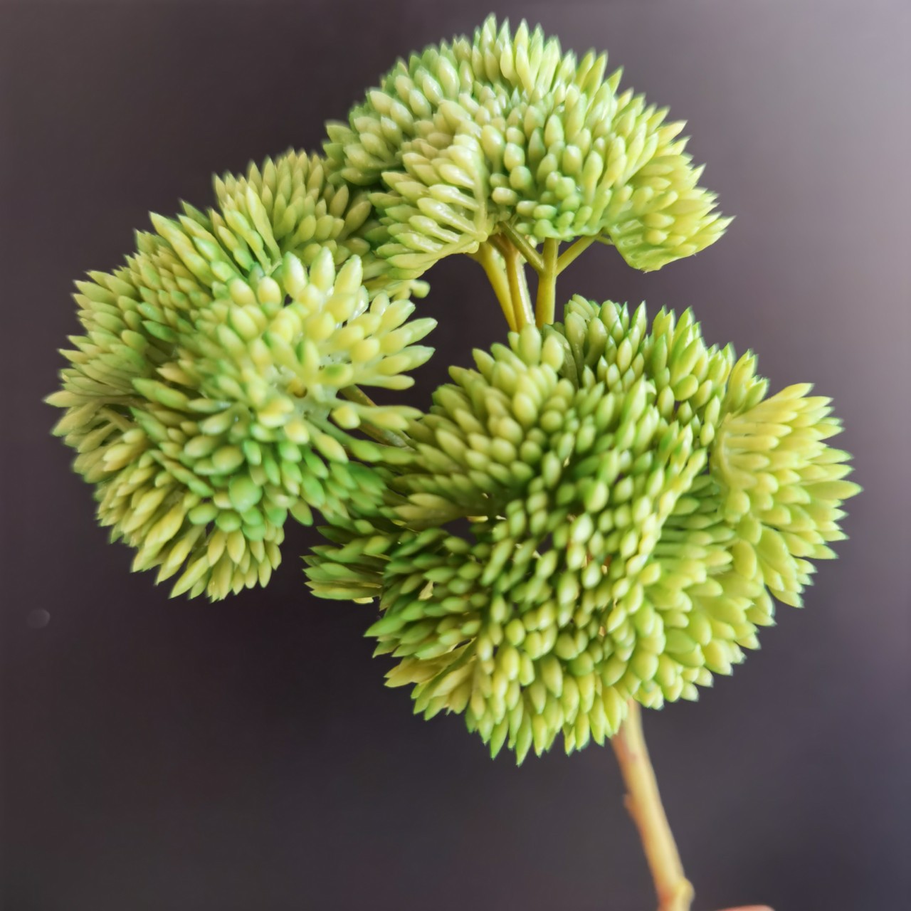 米仔果米子果3头花菜家居餐厅样板间插花装饰配材仿真花假花果枝