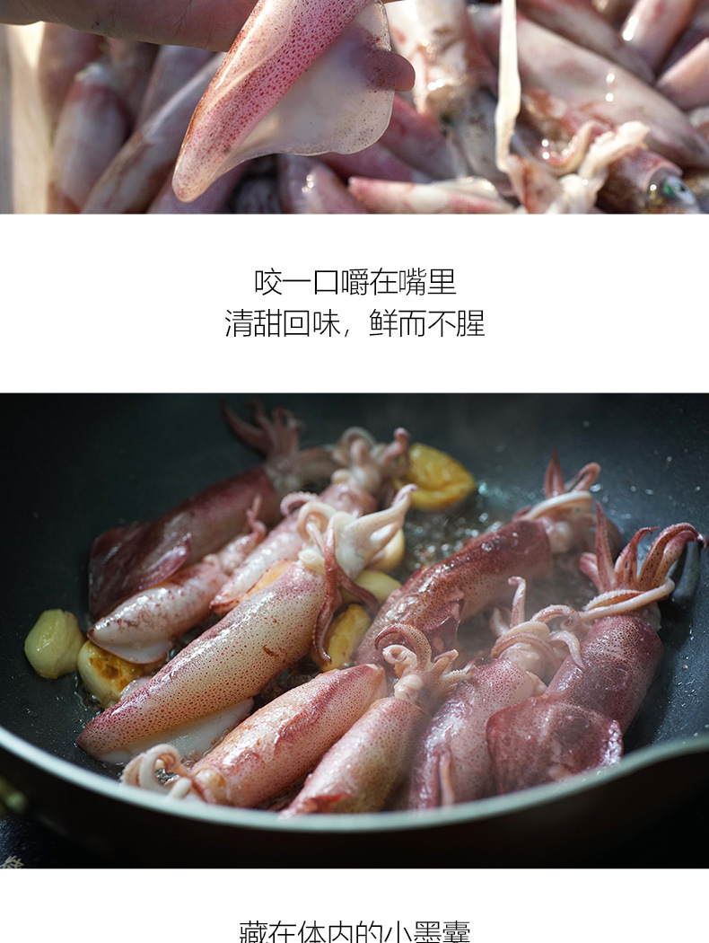 东山小管 活冻鱿鱼 小鱿鱼 甜脆爽口 鲜嫩美味 全国免运费