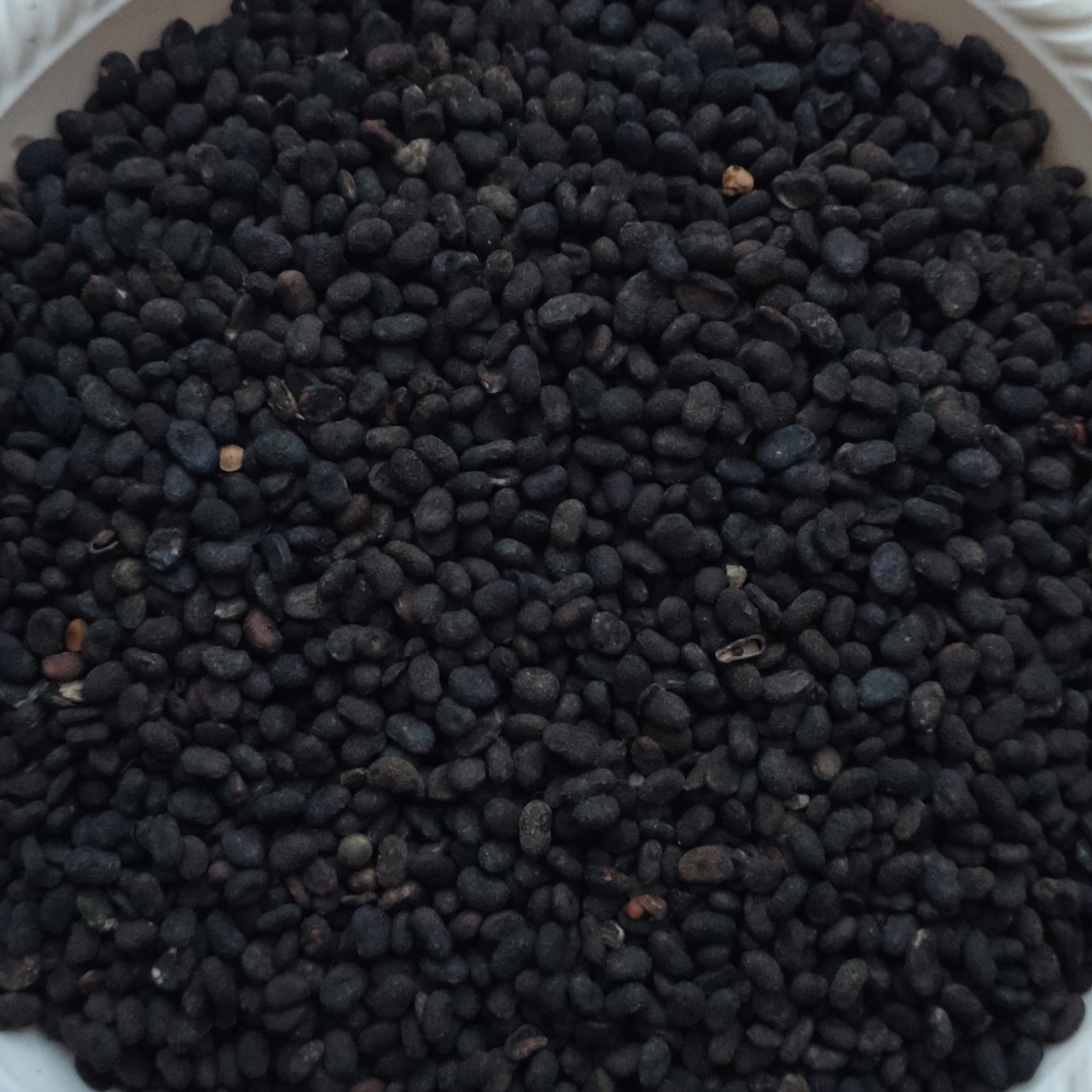 中药材批发破故脂故脂黑故子补骨脂承接订单量大从优支持批发大货