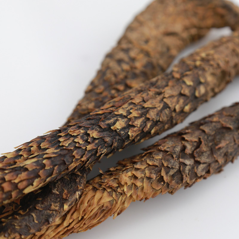 产地直销内蒙古阿拉善散装秋季油苁蓉优选多糖分整根油苁蓉3根1斤