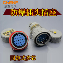 多芯防爆工业插头插座固定式7-30芯16A工业电缆连接器无火花型15A