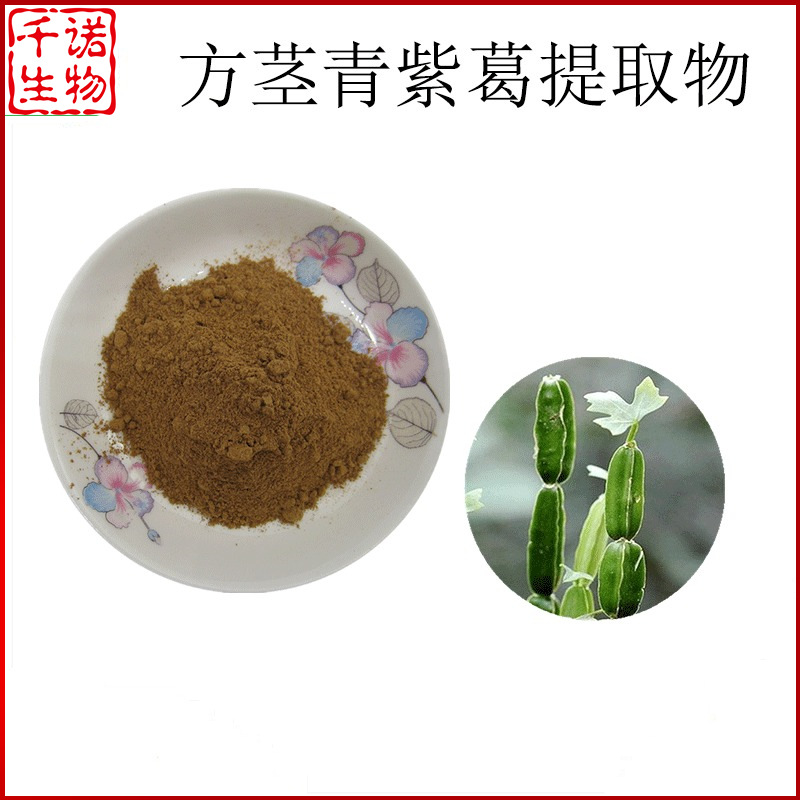 方茎青紫葛提取物 10:1 方茎青紫葛粉 方茎青紫葛浸膏 千诺供应