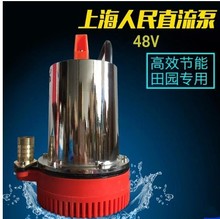 便携式小型电瓶动车家用农用直流水泵12V24V48V高扬程船用潜水泵