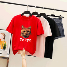 夏季新款韩版宽松圆领套头猫头Tokyo短袖男女T恤女上衣学生班服