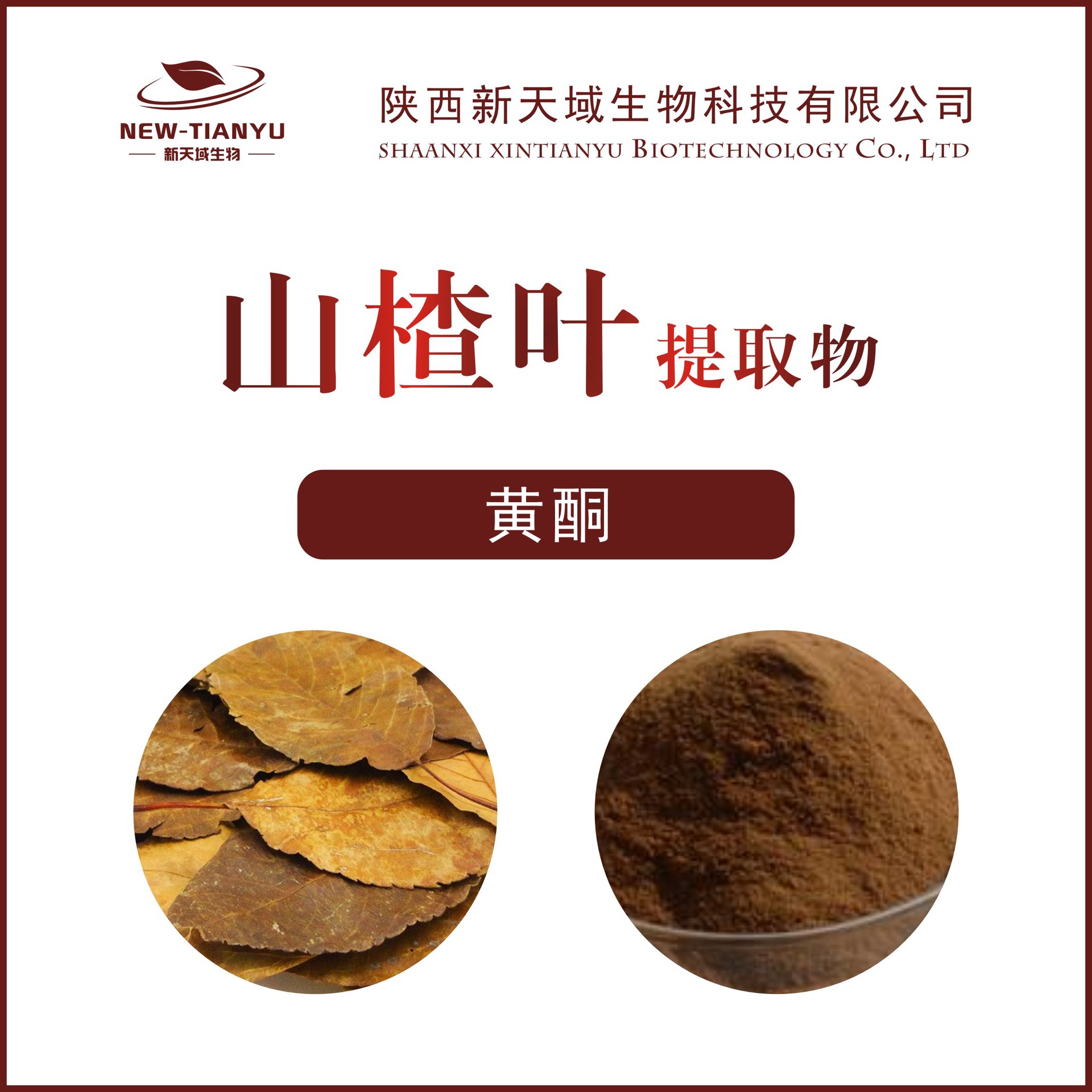 山楂叶提取物 山楂叶黄酮5% 山楂果提取物 植物提取物 喷雾干燥粉