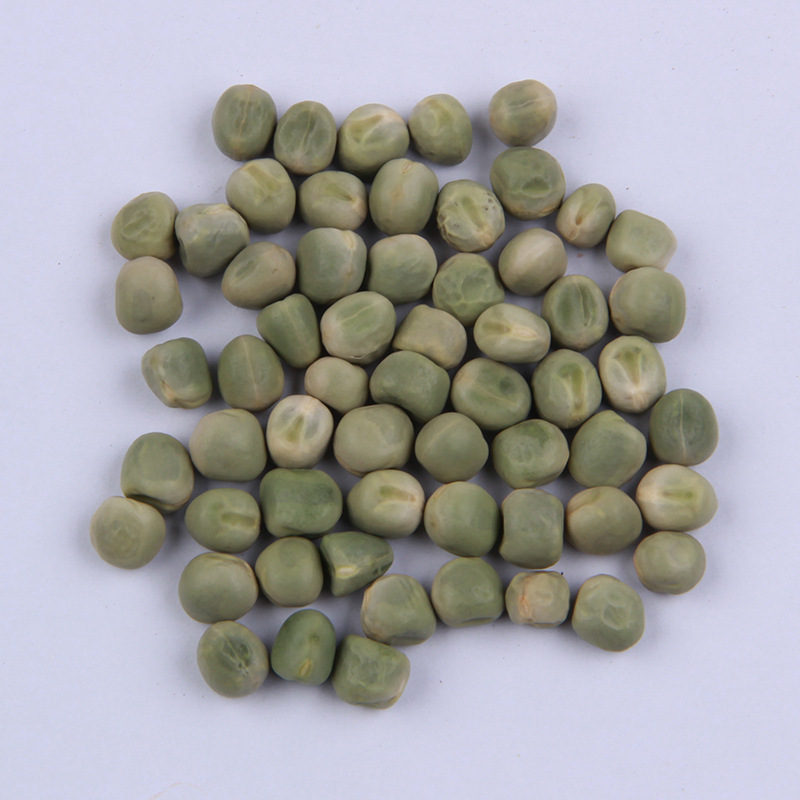 批发豌豆种子 散装甜豌豆种子 阳台菜园秋冬蔬菜种子青豆菜种子