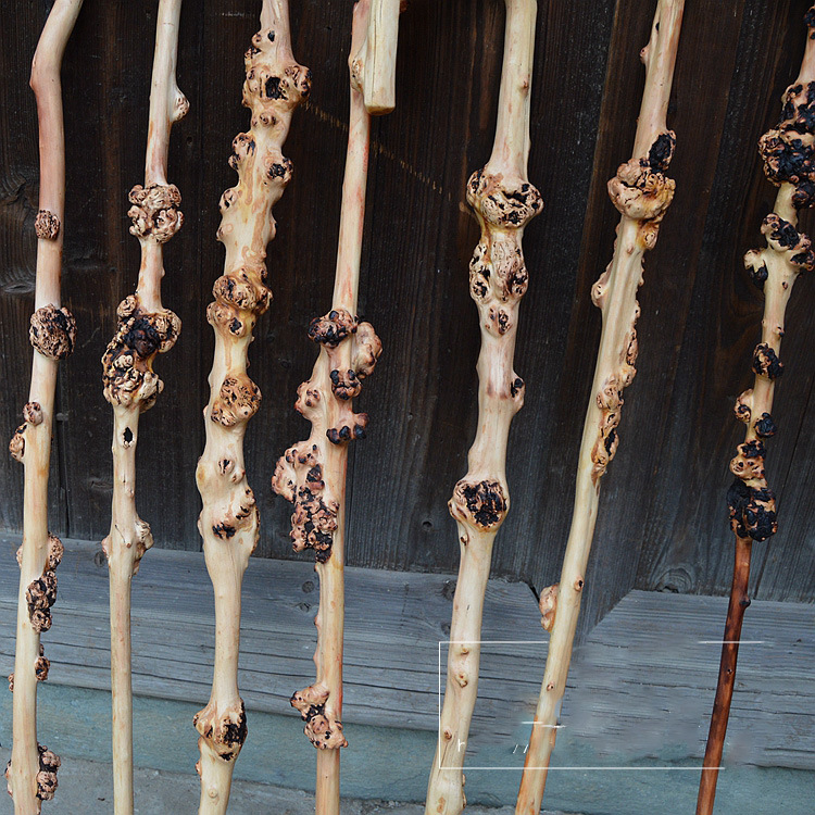 云南复古木黑果木树瘤老人木拐杖手杖木制拐棍藤木寿杖