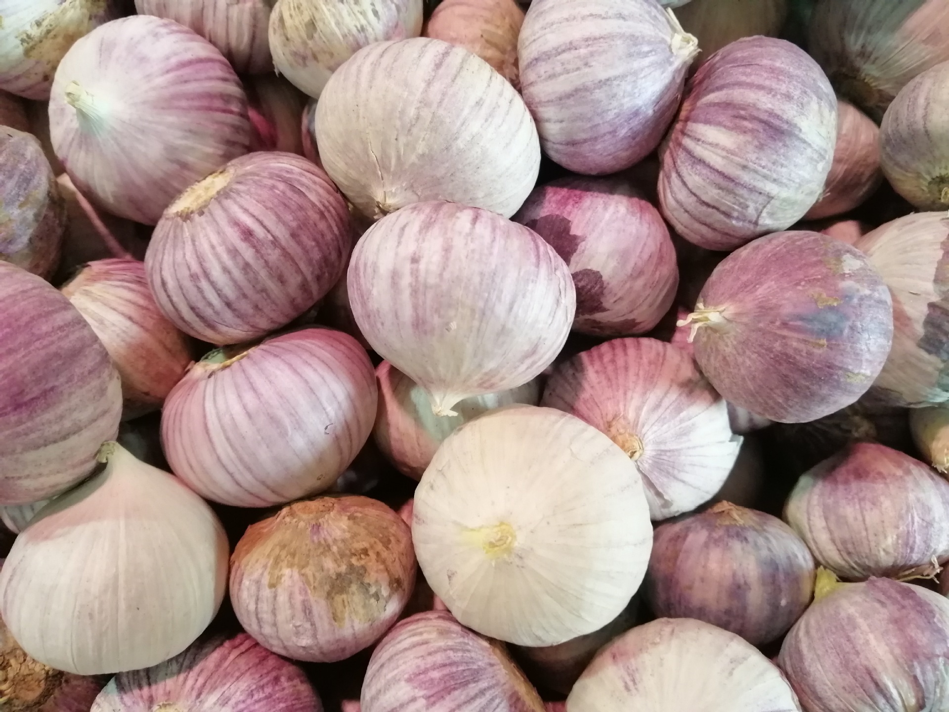 独头蒜1斤新鲜干蒜大蒜小蒜红蒜香蒜云南紫皮大独蒜直径2.8厘米