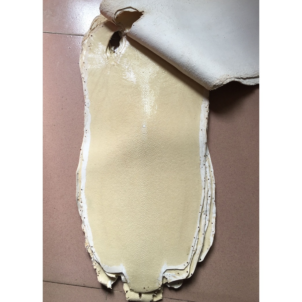 泰国进口珍珠鱼皮料魔鬼鱼皮 diy手工皮料大珍珠鱼皮