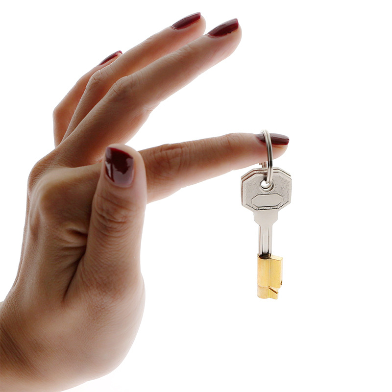 贞操锁 笼子暗锁 卡环暗锁 铜锁 男用阴茎锁cb6000s树脂贞操暗锁