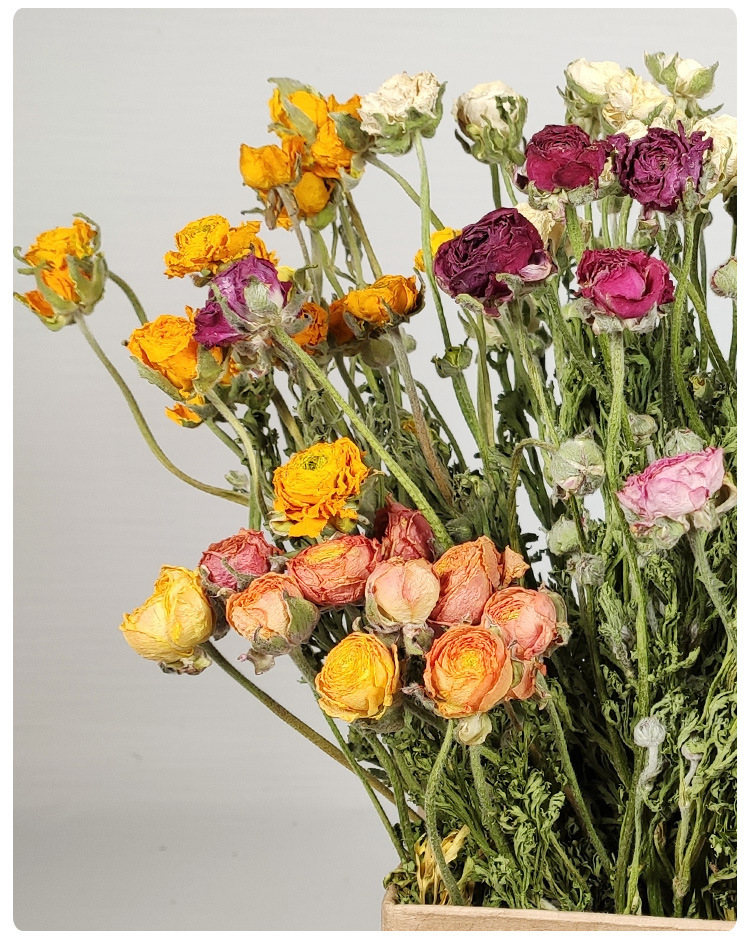 厂家直销洋牡丹干花花束 ins北欧干花批发乾燥花客厅居家装饰摆件