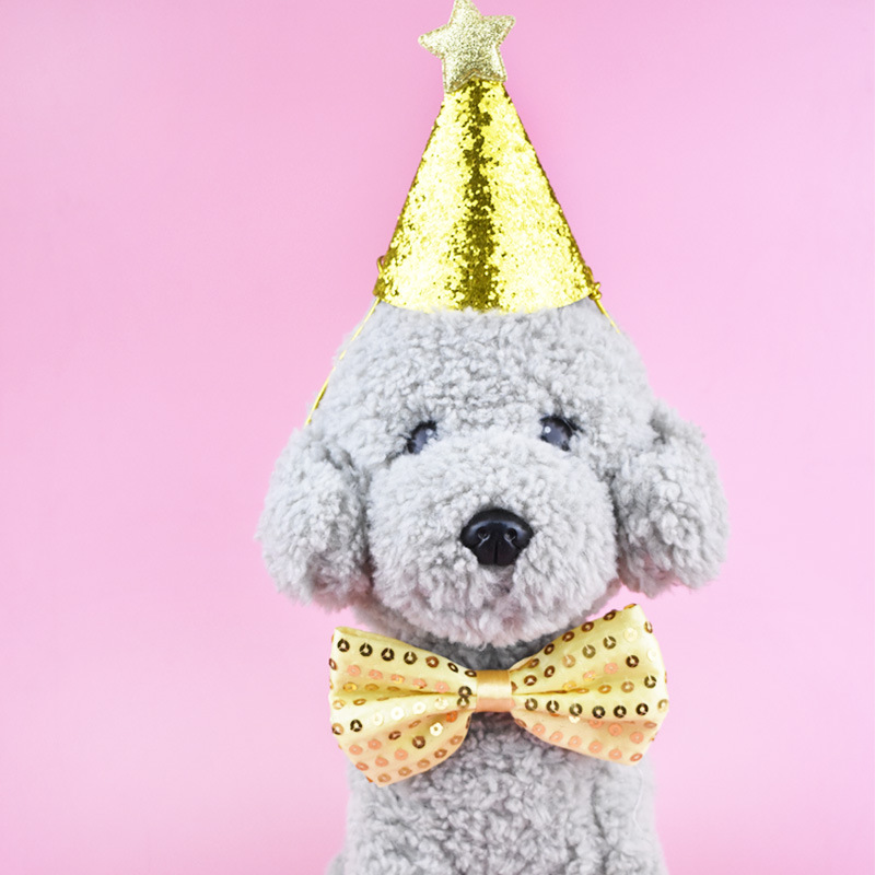 猫狗派对生日帽宠物生日帽宠物领结宠物派对用品宠物礼帽