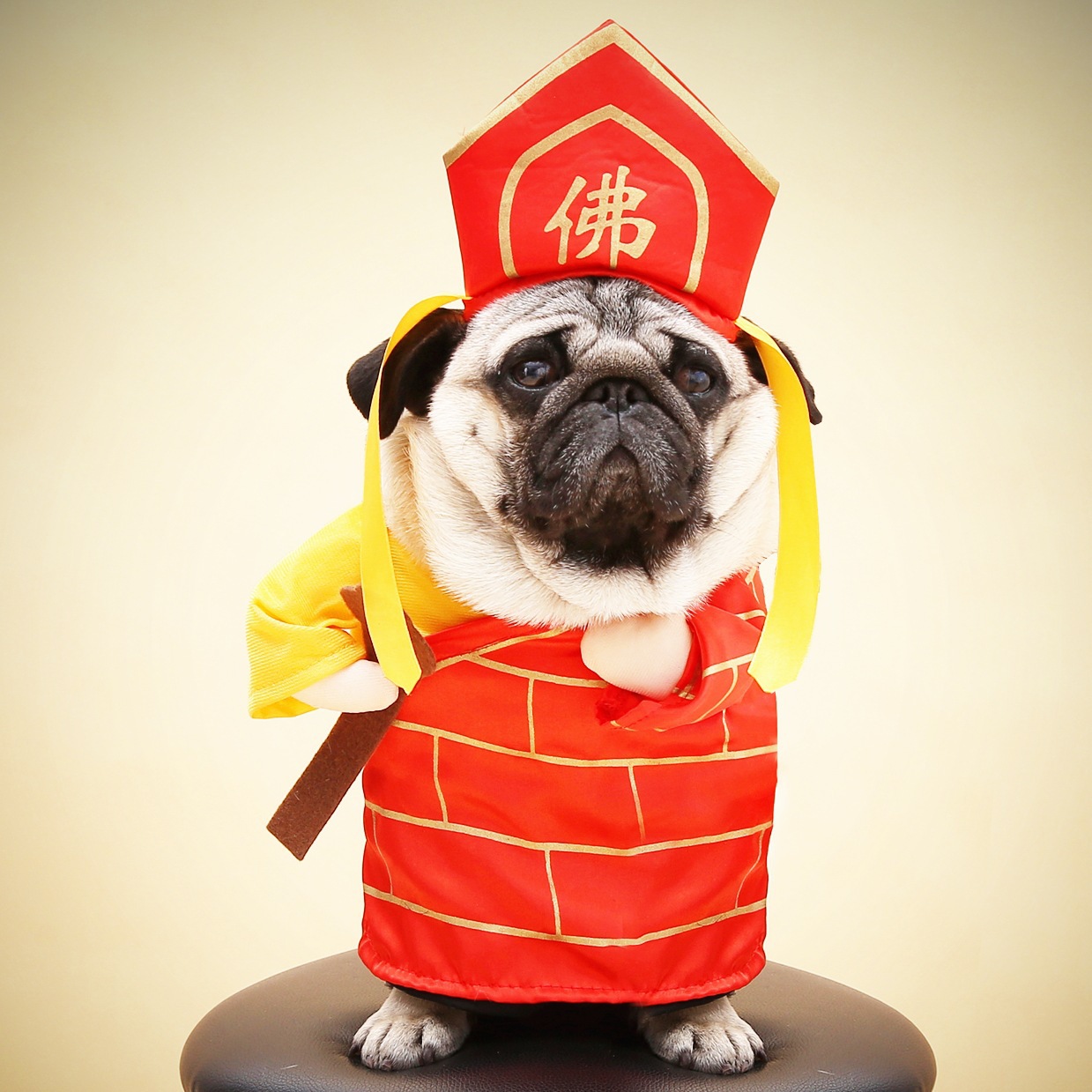 狗狗搞笑变身衣服法海宠物直立狗狗变身装 猫咪唐僧济公万圣节