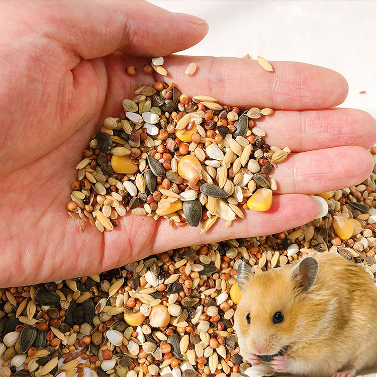 仓鼠鼠粮粮食花枝鼠自配五谷主粮营养饲料用品金丝熊面包虫干零食