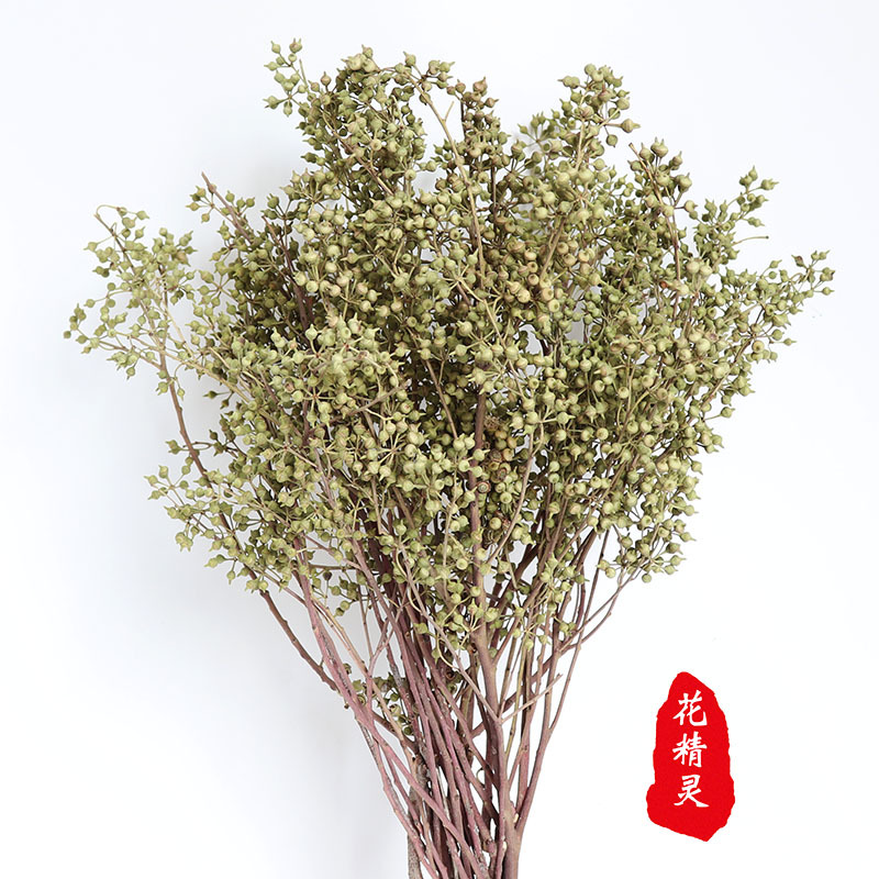小米果自然干花真花小绿果浮游花家居装饰拍摄道具云南厂家批发