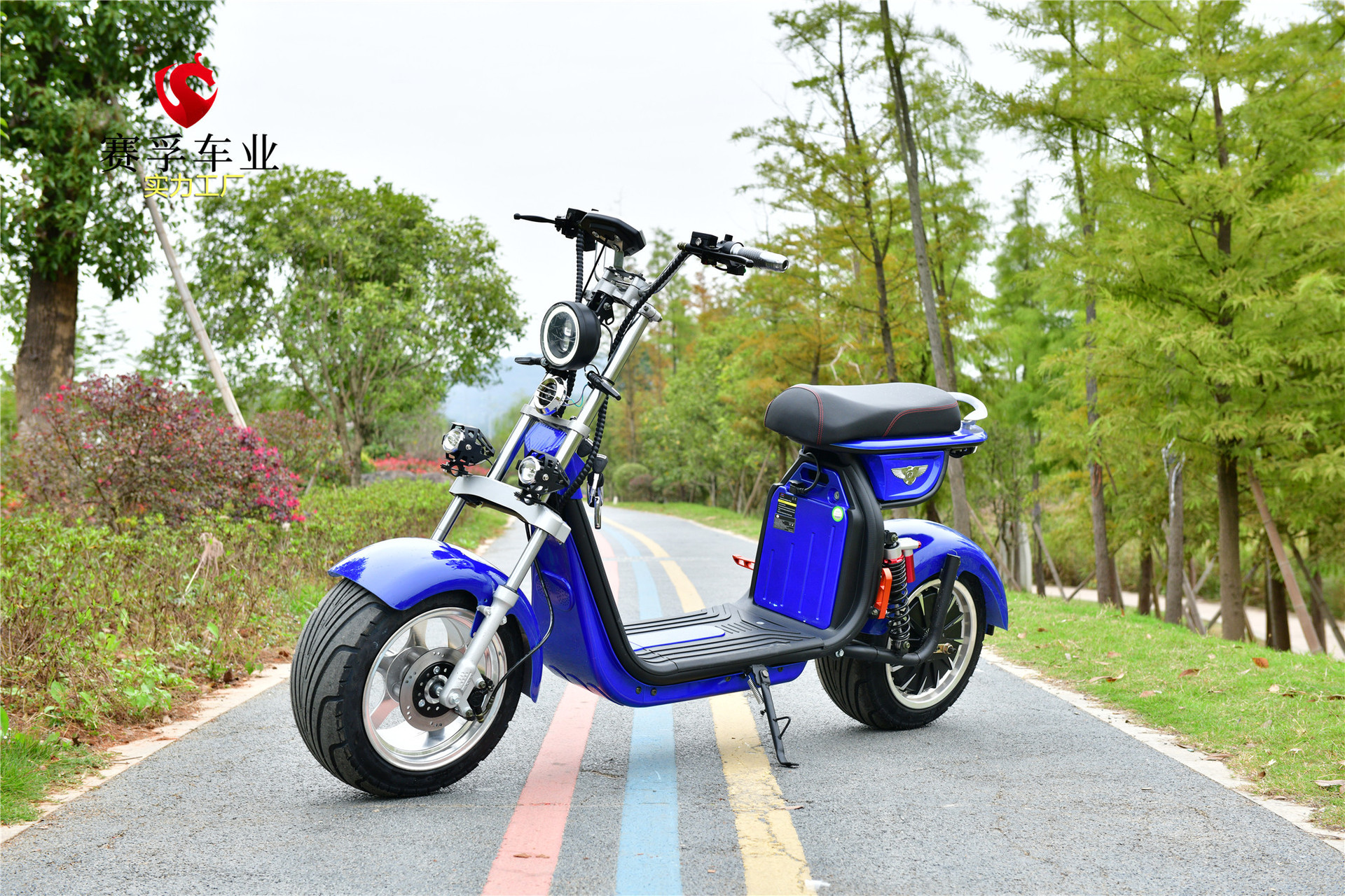 哈雷车electric bicycle锂电电瓶车踏板车摩托车大哈雷电动车成人