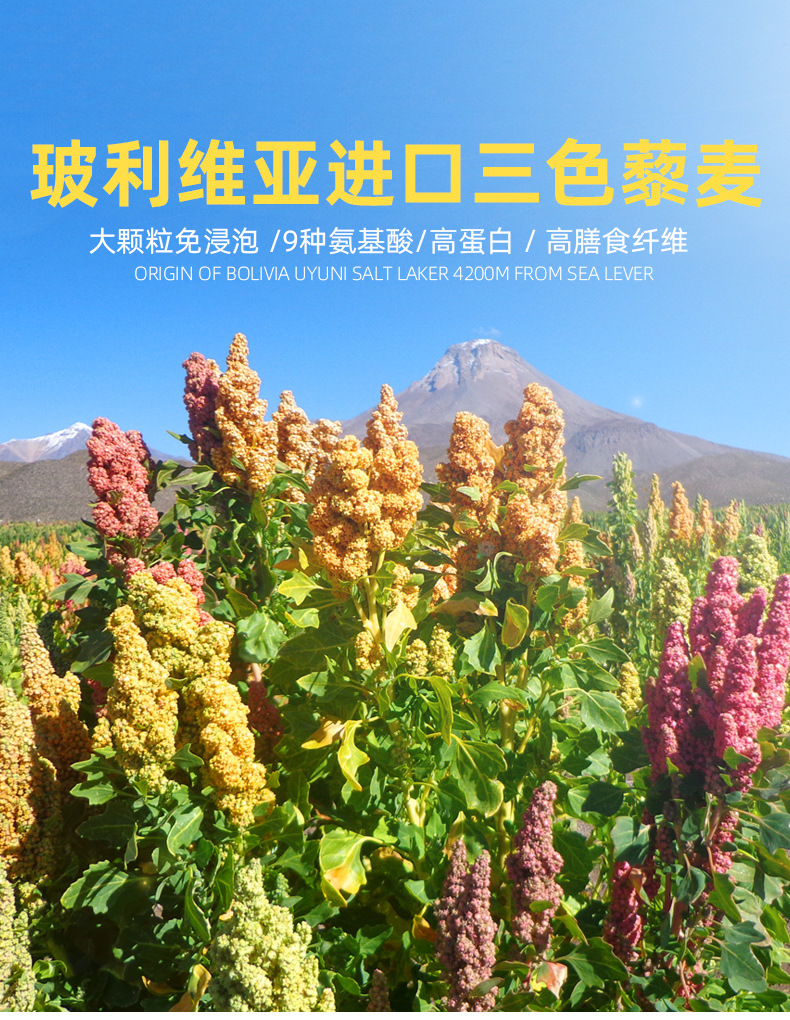 定制款进口藜麦三色混合藜麦米玻利维亚藜麦1kg红黑白三色藜麦oem