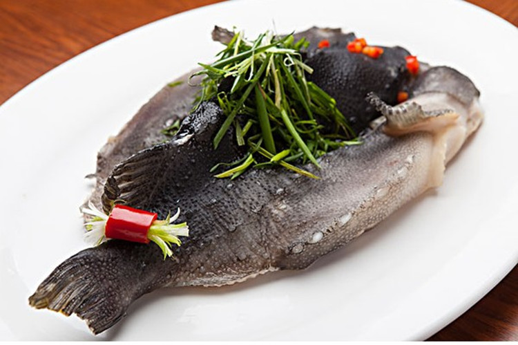 【海斑鱼】-海斑鱼厂家,品牌,图片,热帖-阿里巴巴