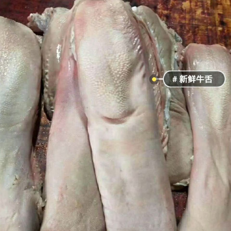 整箱4斤新鲜牛舌头 整条黄牛牛舌无舌根新鲜食材烧烤市场